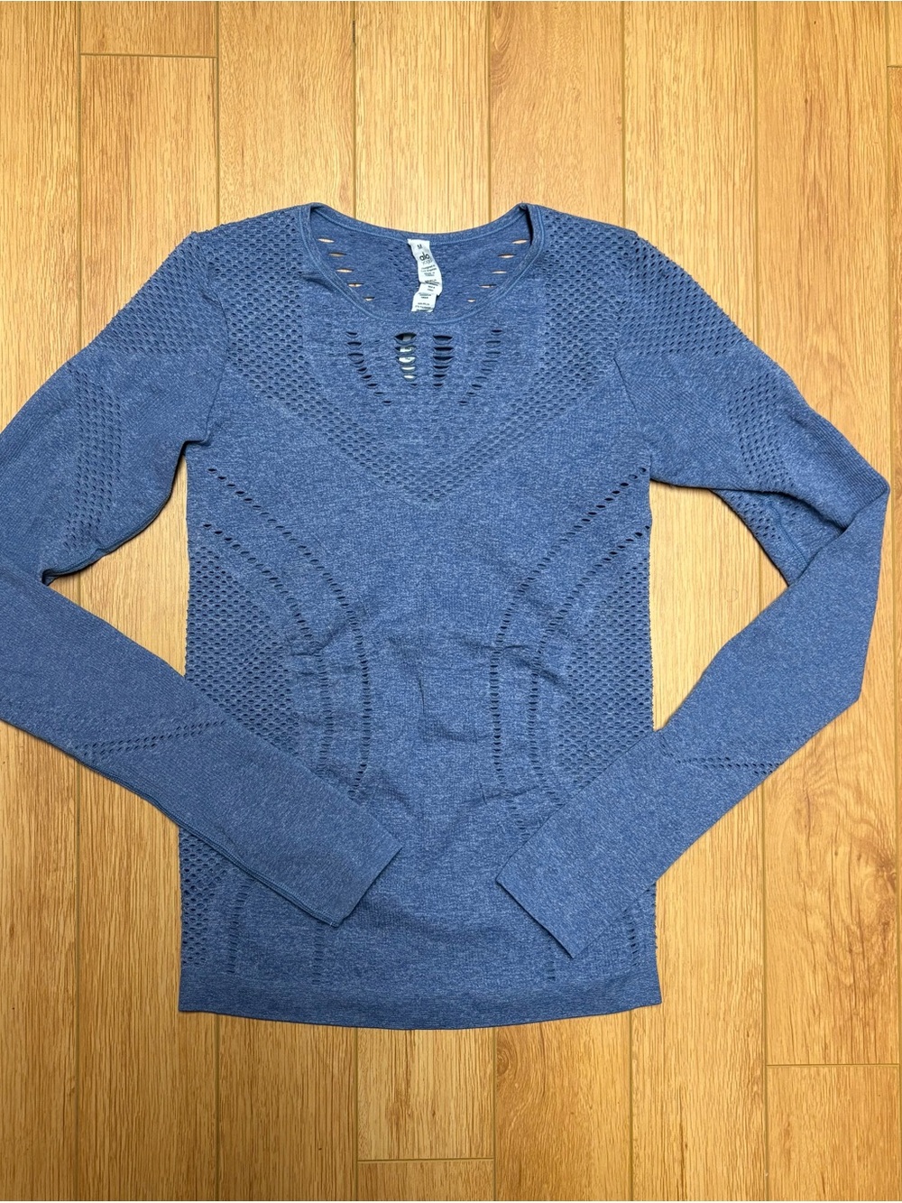 ALO Long Sleeve Workout Top - Blue